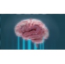 Mila�s AI drives world�s largest study on psychedelics