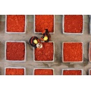 Saltigo showcases its technological expertise in custom manufacturing