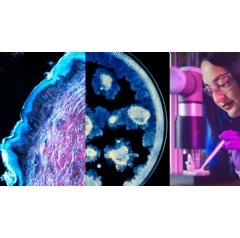 L’Oréal x Institut Pasteur - ©L’OREAL