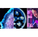 L�Or�al and Institut Pasteur announce historic partnership to advance skin health science