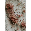 eDreams ODIGEO further scales agentic AI ecosystem by integrating conversational planning and immediate booking fulfilment