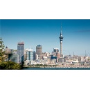 One New Zealand and Vodafone partner to fight online fraud using Network APIs in New Zealand