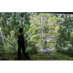 VicScreen backs exhibition of immersive expansion of award winning documentary The Giants