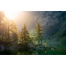 Europe�s protected landscapes where rail is not an alternative, but the defining way in