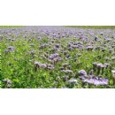 Solutions to improve nitrogen efficiency