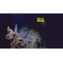 Greenpeace underwater robot sets record for the world�s deepest banner protest from Arctic seabed