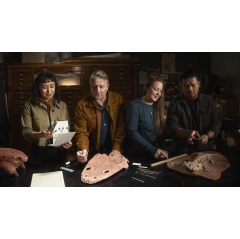 Hosts (left-to-right) Gabriel-Philip Santos, Blake de Pastino, Michelle Barboza-Ramirez, and Kallie Moore in the paleontology collection at the University of Montana.
Complexly/PBS