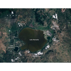 Rising Waters Swamp Lake Naivasha