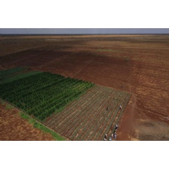 Nature-positive agriculture practices are critical to maintaining healthy soil and water sources.