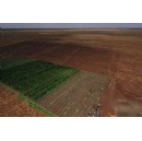 Restoring land, restoring life: Why healthy soils must underpin our future