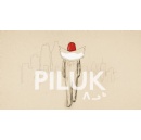 The NFB at the Locarno Film Festival | Piluk, by Elisapie Isaac and Marc S�guin, is a competition selection and will screen as a world premiere in the Pardi di Domani section