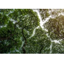 Access to Renewable Energy Critical to Keep Mobile Industry on Track for Net Zero, New Gsma Report Finds