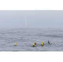 OW Extreme Challenge 2026: Six swimmers complete the first-ever open-water challenge from an offshore wind farm to the Portuguese coast
