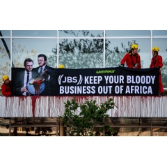 © Greenpeace