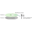 DOCOMO & Samsung Electronics Achieves Successful Validation of User-level AI-RAN Technology