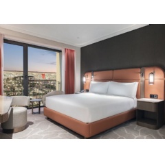 Hilton Istanbul Airport
