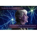 Language skills stay strong in older adults, even while other cognitive abilities decline