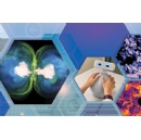 NSF launches three new Science and Technology Centers with $90M investment in transformative research
