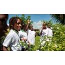 Celebrating 307,000 young Eco Champions worldwide: 10th Anniversary of TUI Care Foundation�s Junior Academy Programme