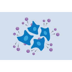 The Blainey Lab at the Broad invented a “cellular self-reporting” approach to make living cells share their own transcriptomes in virus-like particles, shown in purple.
Credit: Agnieszka Grosso, Broad Communications