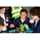 Tate Britain and the RHS announce 10-year commitment to connecting young people with art, nature and climate action