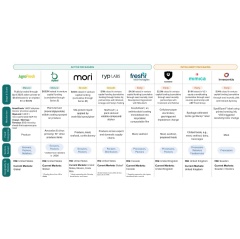 This landscape overview shows eight organizations, reflecting the range of active and packaging solutions. *