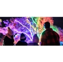 RHS Glow Shines Brighter for 2026 with 40 New Light Installations