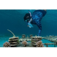 National Geographic Explorers Uncover Deep-Sea Wonders With Groundbreaking Tech as They Chase Critical Solutions to Dilemmas Facing Life Across All Five Ocean Basins in Expedition: Saving Our Seas