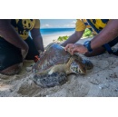 Stories of success, from Gyros Island to the Colombian Amazon