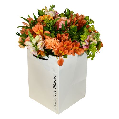 Flowers & Plants Co. Open First Store WebWire