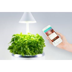 Philosophically, the startup’s aim is to power a “personal produce” movement, Jennifer Farah SM ’13 says, in which more people grow their own food, encouraging healthier eating and cutting down on waste. Courtesy of SproutsIO Inc.