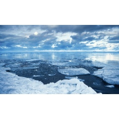 (© stock.adobe.com)