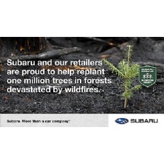 Subaru of America expands partnership with National Forest Foundation with commitment to plant one million trees thumbnail