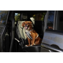 Chrysler brand is marking National Pet Day on April 11 by calling out the top pet-friendly features of the 2022 Chrysler Pacifica.