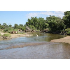 The South Platte River flows peacefully from Julesburg, Colorado toward Nebraska (Photo by Fred Knapp, Nebraska Public Media News)