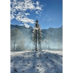 This week, Apple celebrates the 108th birthday of the U.S. National Park Service with an Apple Pay donation campaign and new ways to explore with Apple Maps. Photo by Jude Allen. Shot on iPhone 14 Pro.