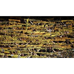 Supporters of the Swiss football club BSC Young Boys. AFP/Getty Images