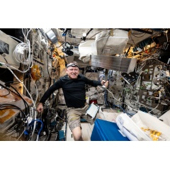 NASA astronaut and Expedition 72 Flight Engineer Butch Wilmore works inside the International Space Station’s Columbus laboratory module to begin installing the European Enhanced Exploration Exercise Device. (Credit: NASA)