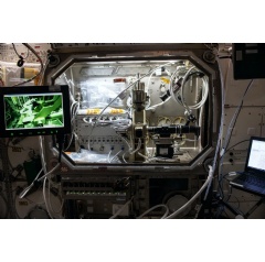 Full image caption at the end. Credit: NASA