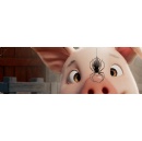 All New Charlottes Web Three-Part Special To Premiere On HBO Max October 2