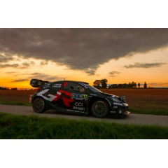 Car 17 (Sbastien Ogier, Vincent Landais)