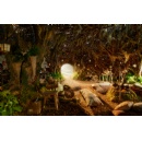 Discover the magic of Wicked: For Good at Elphabas Retreat