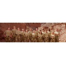 UK vs Australia: Fourteen Celebrities Face the Ultimate SAS Test in North Africa