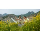 Telef�nica stands as a global leader in climate management according to the CDP ranking