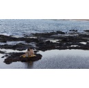 A Romantic Island Getaway This Valentine�s Day at Four Seasons Resort Lanai