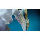 adidas Originals x Willy Chavarria release the Chavarria Megaride following its debut at Fall/Winter 2026 Paris Fashion Week