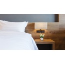 IHG strengthens UK presence with four hotel agreements across Garner and voco brands