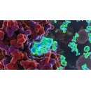 Telef�nica, Vithas, and UFV apply quantum computing to the creation of cancer drugs