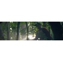 Channel 4 Greenlights Third Series of Hit Show Tempting Fortune, with Rob Beckett as host