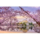 Marriott Bonvoy Celebrates Spring in the Nation�s Capital as the Preferred Hotel Provider and Host Sponsor for the 2026 National Cherry Blossom Festival and Host Sponsor for the National Cherry Blossom Festival Parade